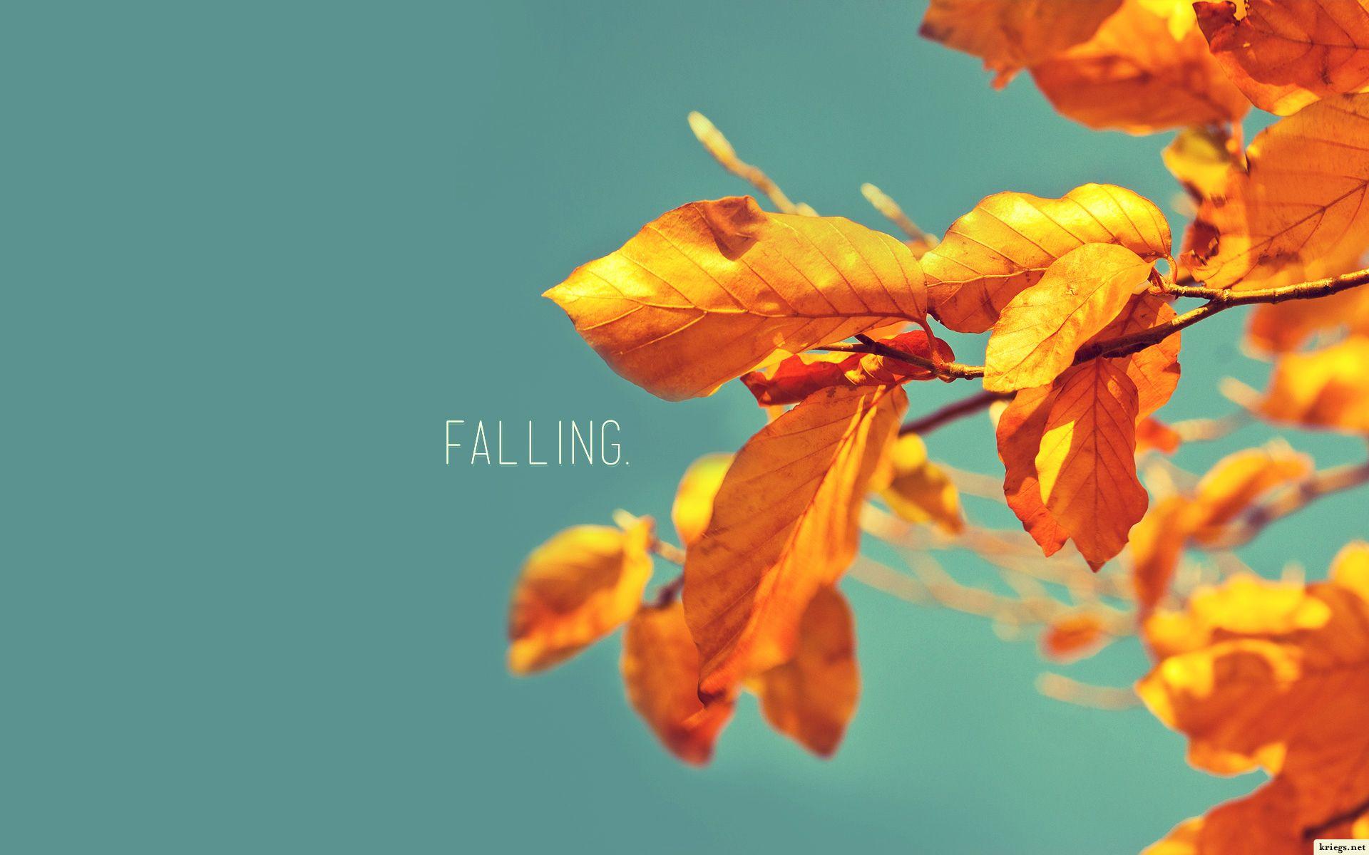 1920x1200 