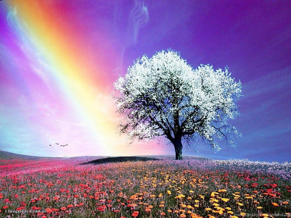 1024x768 Rainbow Bright Colors Wallpaper Fanpop Desktop Background