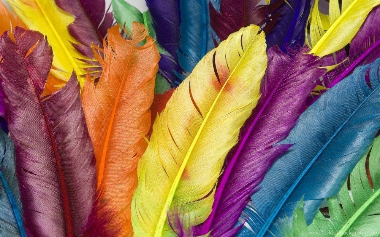 1280x800 Rainbow Bright Colors Wallpaper Fanpop Desktop Background