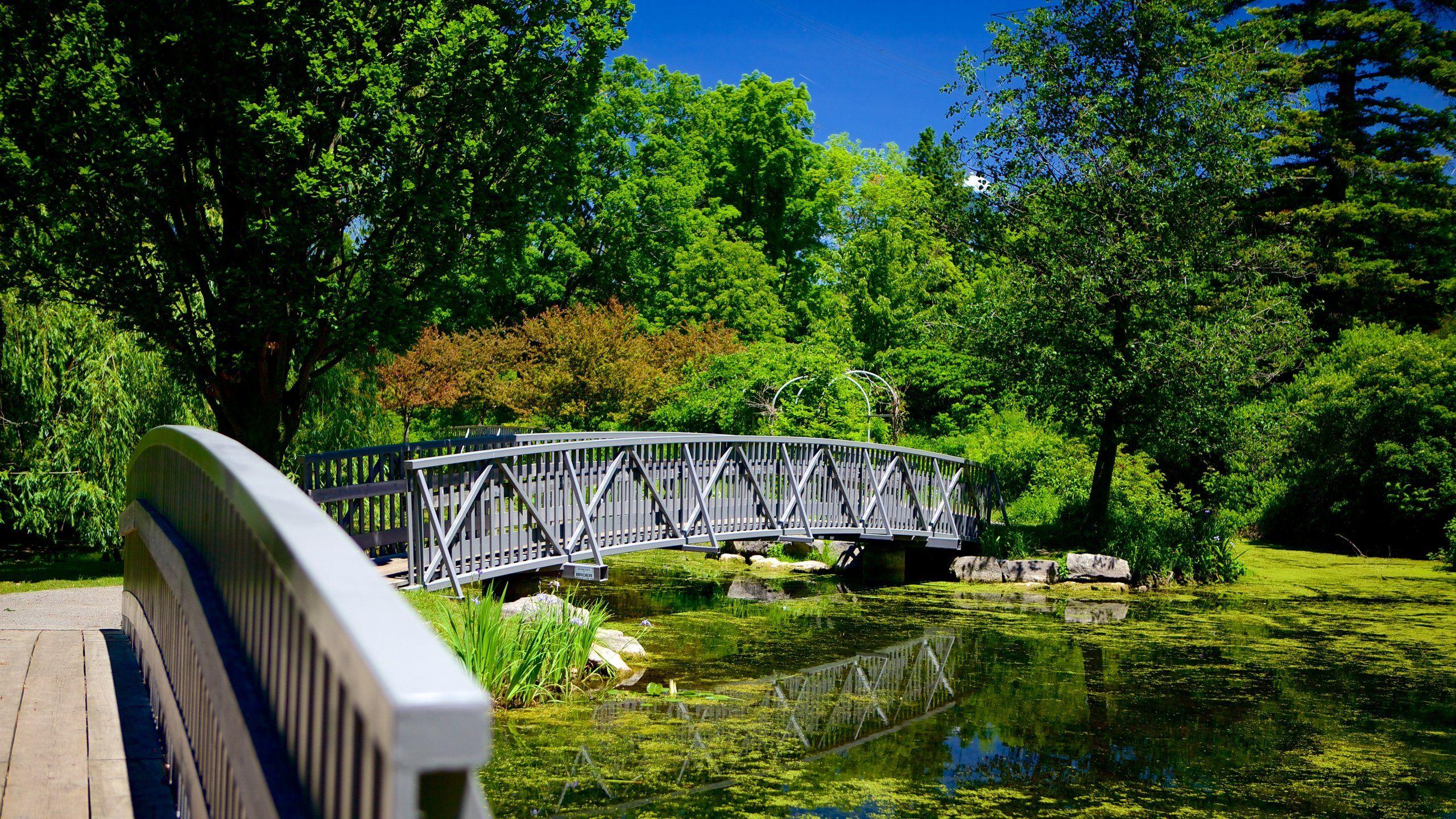 2560x1440 Top Hotels in London for 2020 from CA $59