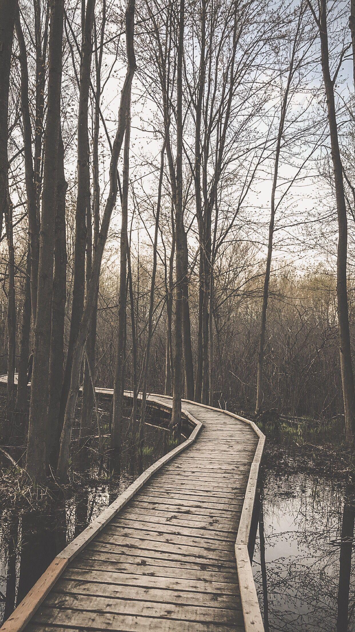 1242x2208 HD wallpaper. Country roads, London, Nature
