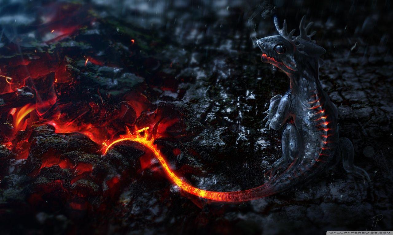 1280x768 Salamander Artwork ❤ 4K HD Desktop Wallpaper for 4K Ultra HD TV