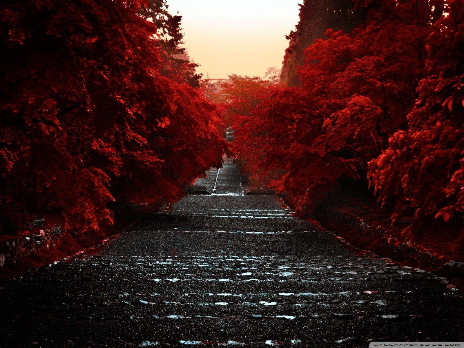 Japan Abstract Wallpapers Top Free Japan Abstract Backgrounds