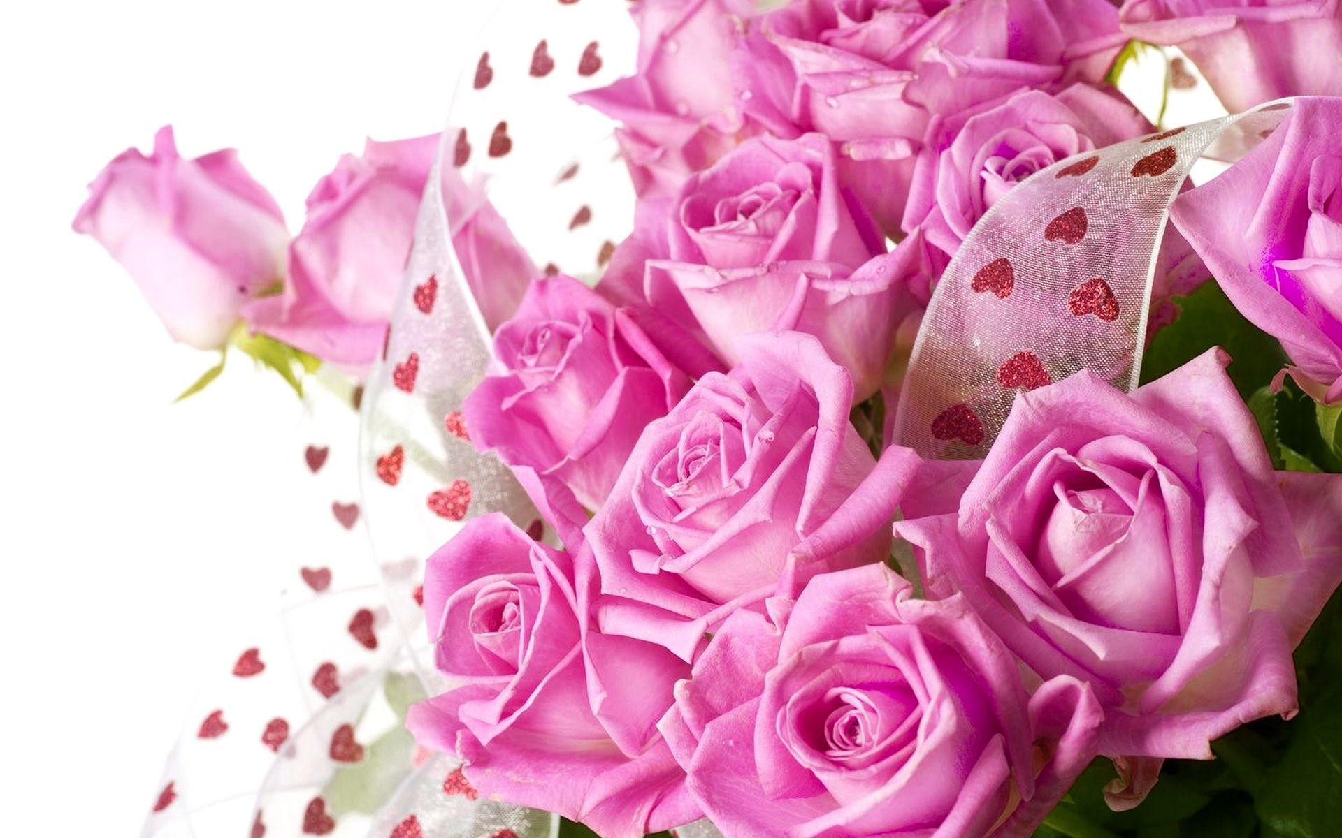 1920x1200 Beautiful Roses Wallpaper