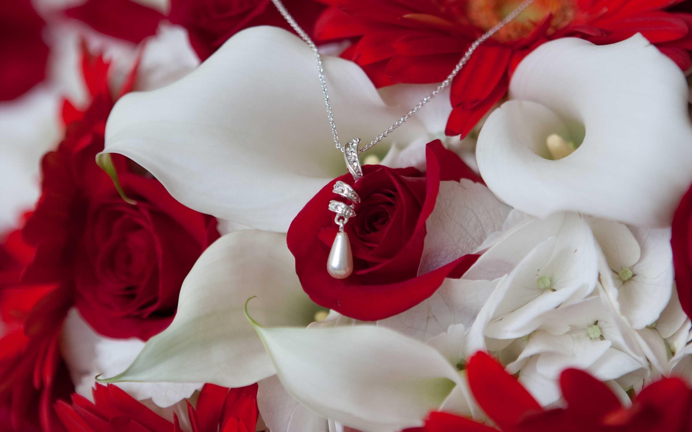 2880x1800 Beautiful roses, iPhone, Desktop HD Background / Wallpaper (1080p, 4k) (2880x1800) (2020)