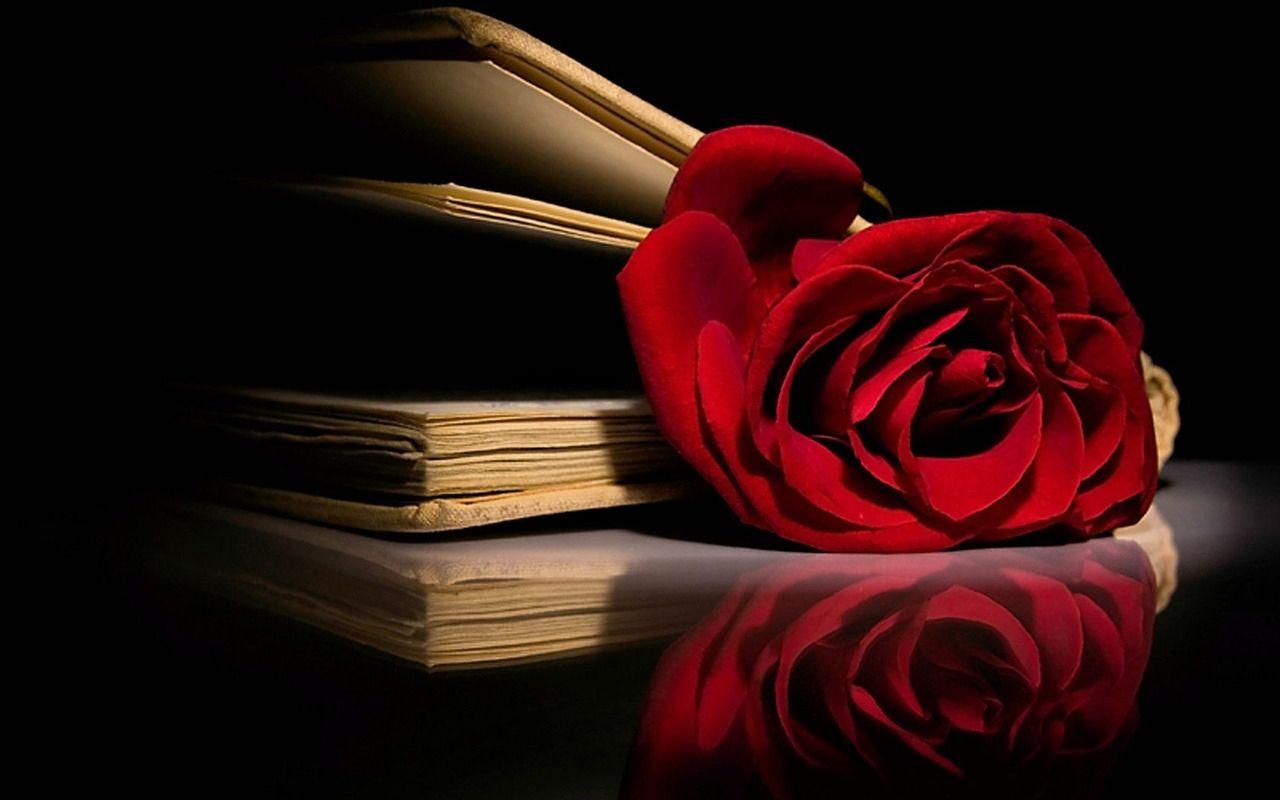 1280x800 Collection of beautiful roses wallpaper