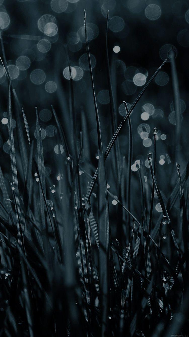 750x1334 Lawn Grass Blue Rain Nature