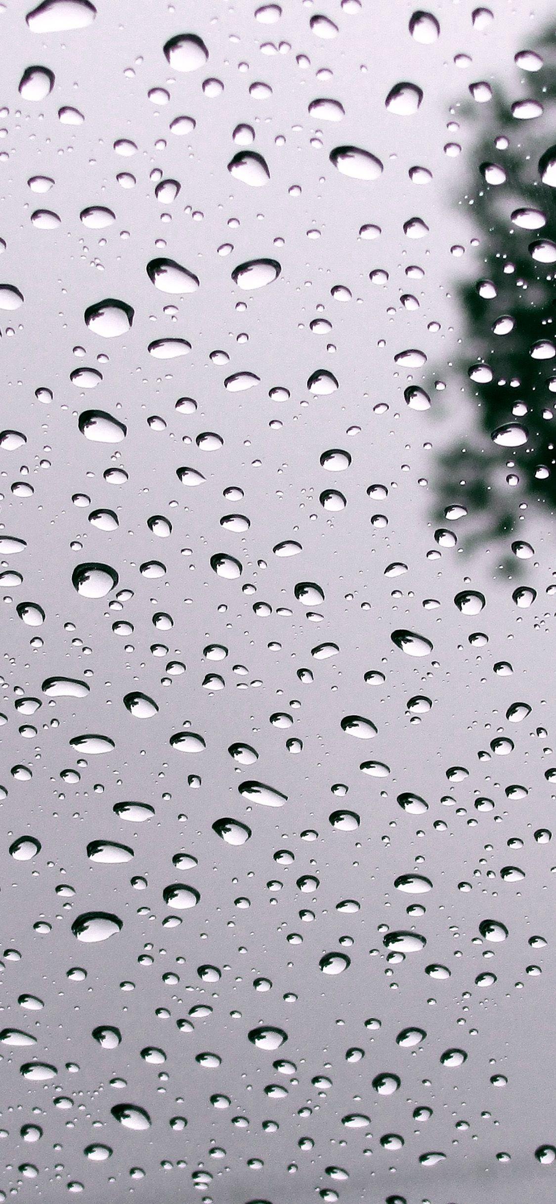 1125x2436 rain drop cold pattern background summer