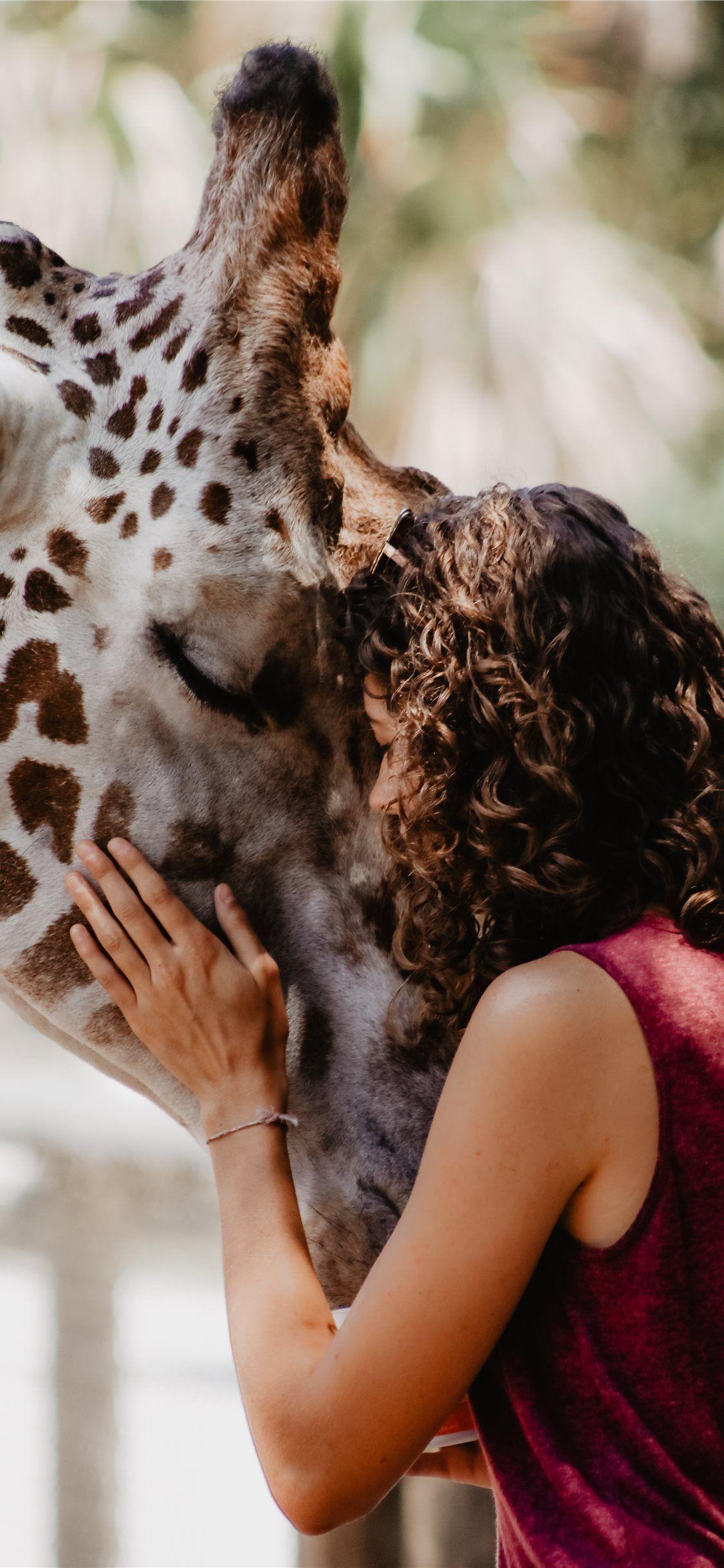 1125x2436 Giraffe Encounter iPhone X Wallpaper Free Download