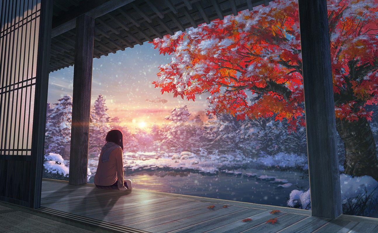 1294x800 Japanese maple HD wallpaper, Background