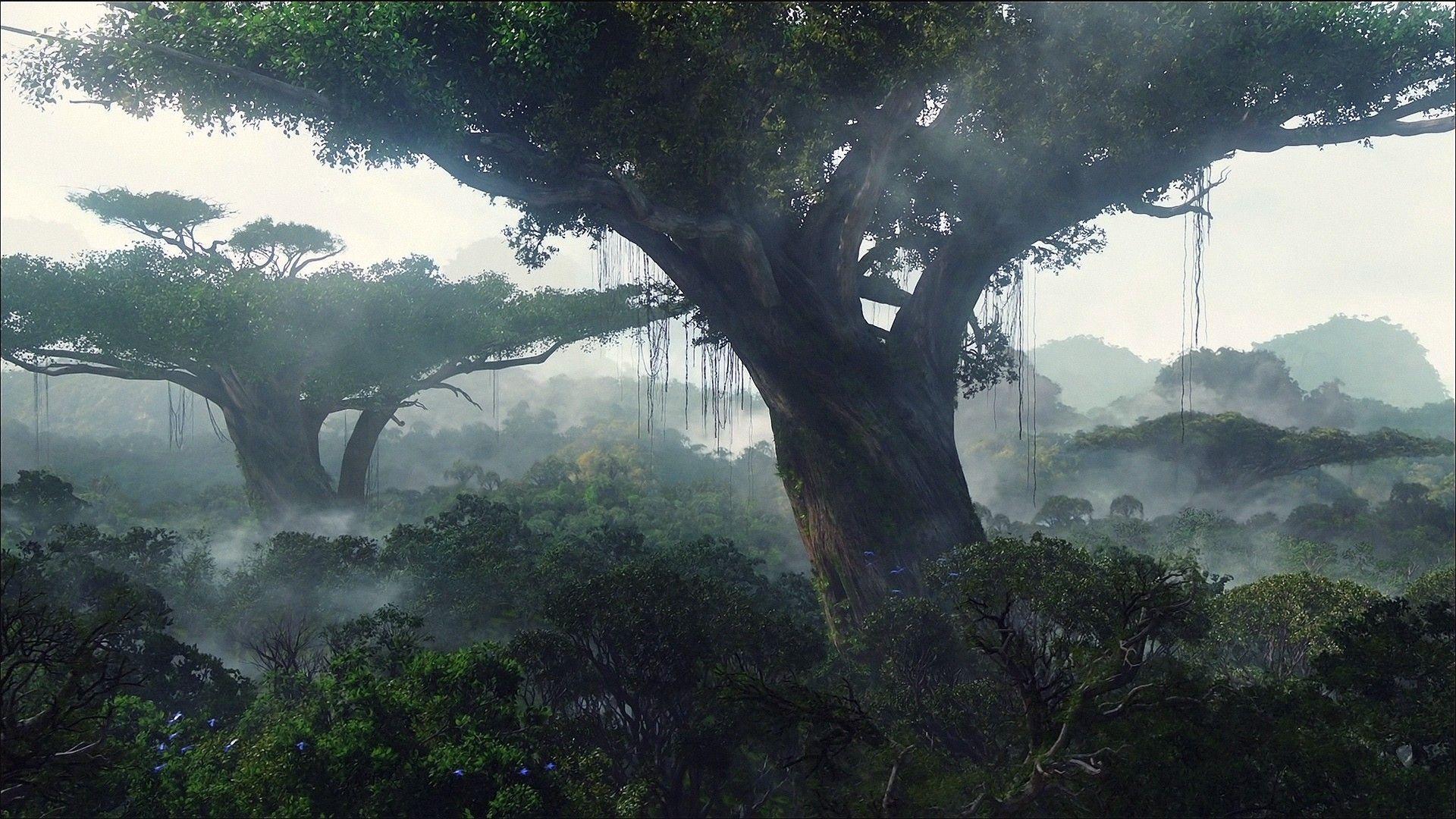 1920x1080 Fog Tag wallpaper: Sky Landscapes Reflection Fog Trees Forest. Avatar tree, Jungle wallpaper, Avatar movie