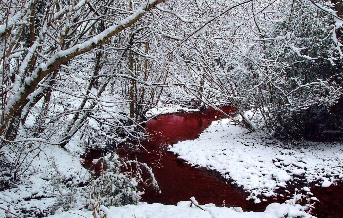 1332x850 Wallpaper winter, snow, trees, blood, Forest, river image for desktop, section пейзажи