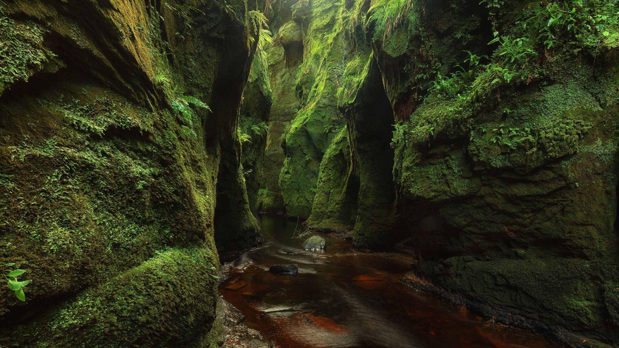 2560x1440 Blood River MacBook Air Wallpaper Download