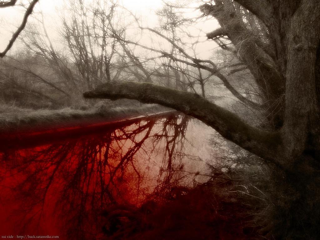 1024x768 Bloody Background
