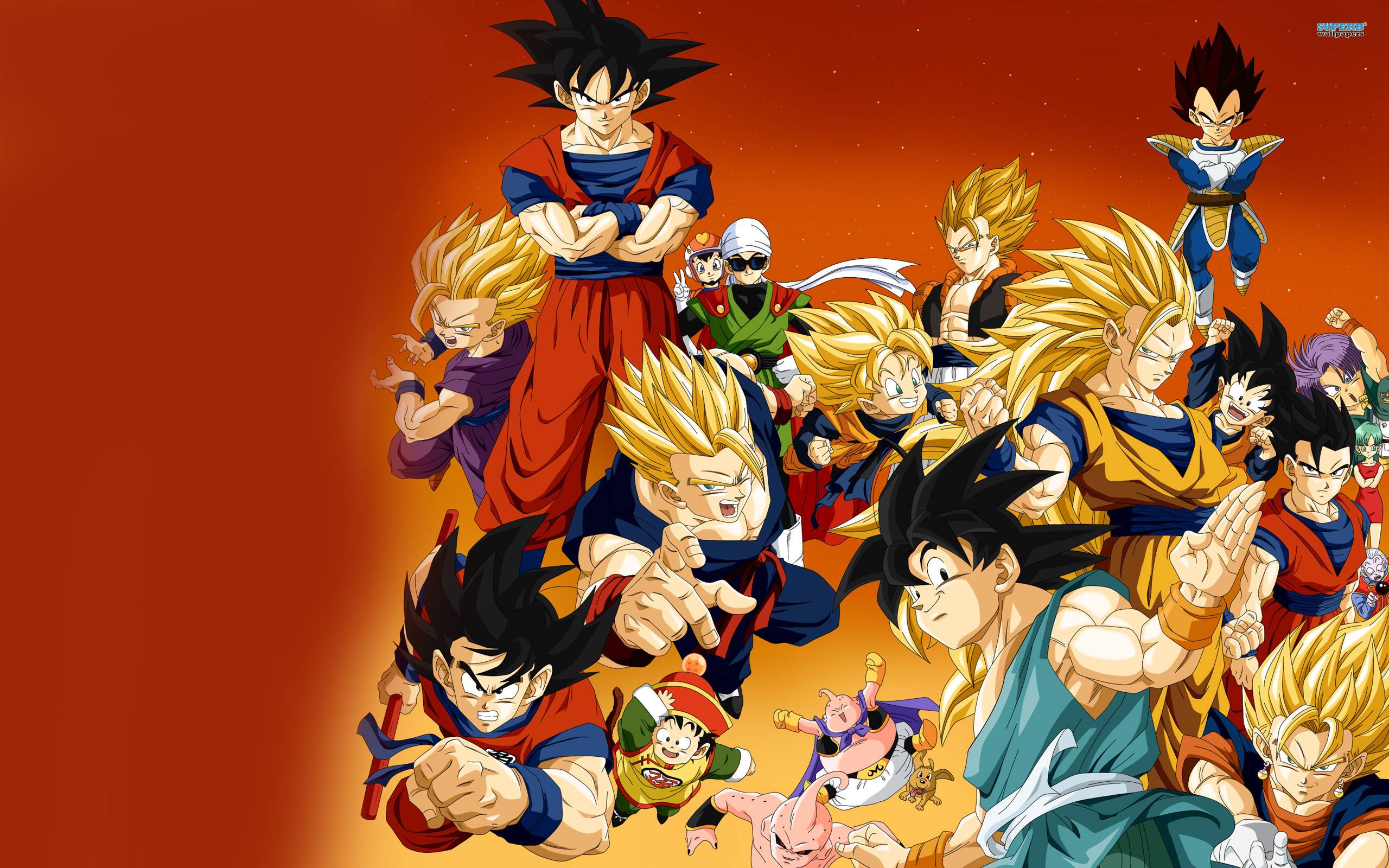 2560x1600 Dragon Ball Z Wallpaper. Dragonball Z Wallpaper, Volleyball Emoji Wallpaper and Basketball Emoji Wallpaper