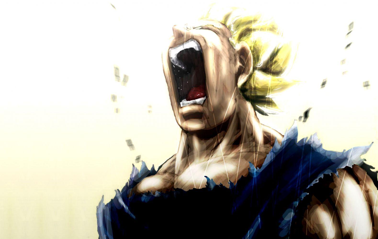 1579x997 Dbz Wallpaper HD