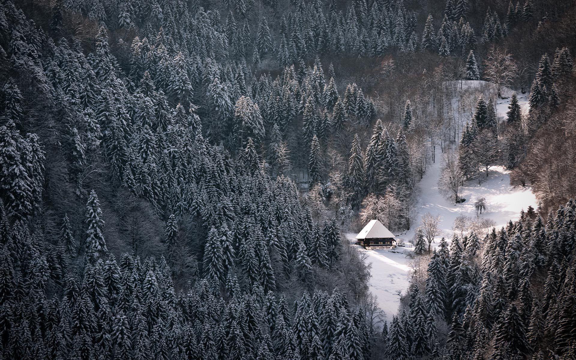 Black Forest Germany Wallpapers Top Free Black Forest Germany 