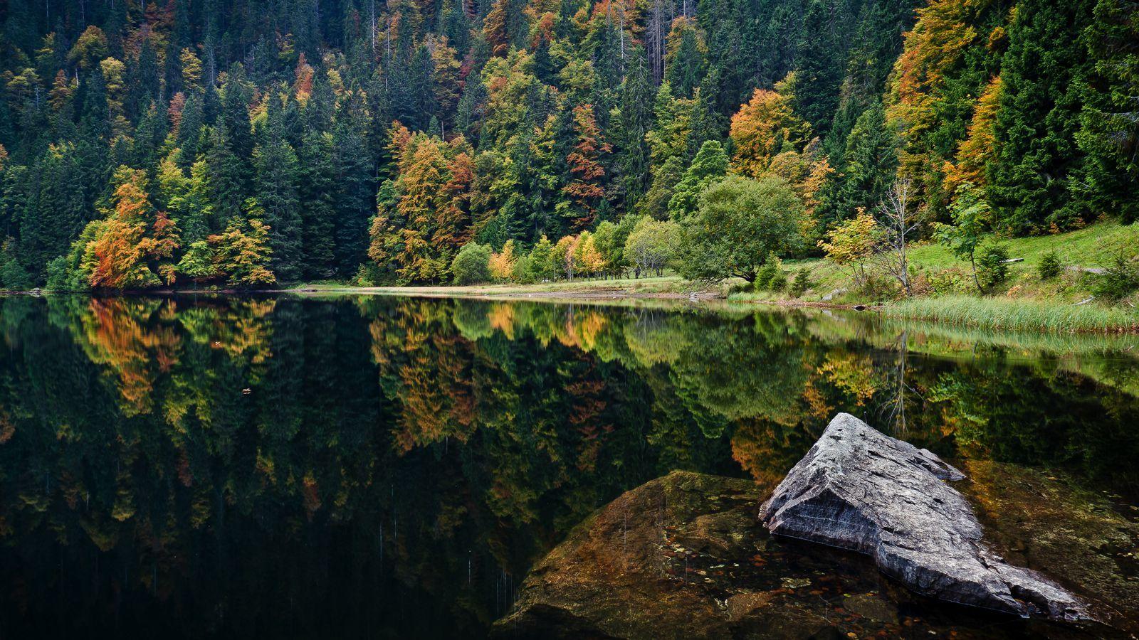 1600x900 Go to Black Forest, Germany
