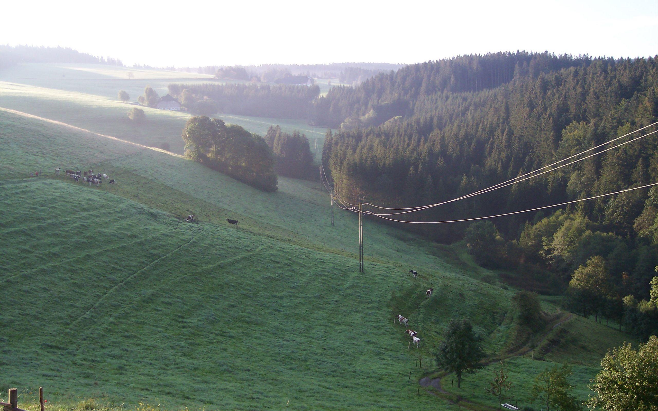 2560x1600 Black Forest Germany wallpaper. Black Forest Germany