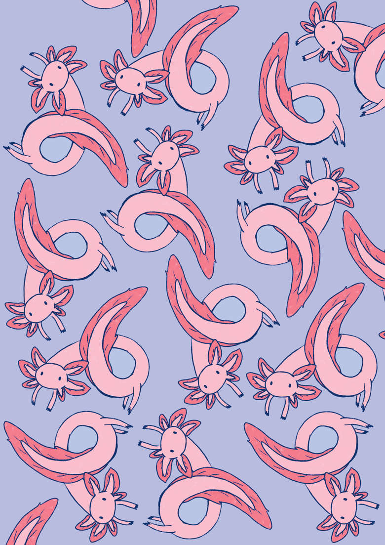 780x1103 Axolotl Wallpaper's Ko Fi Shop