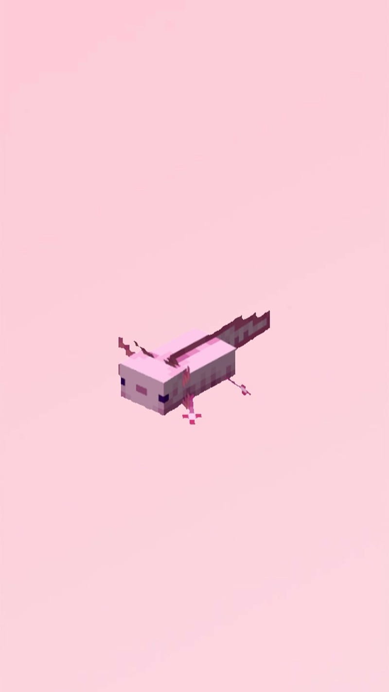 800x1422 Pink Axolotl, minecraft, HD phone wallpaper
