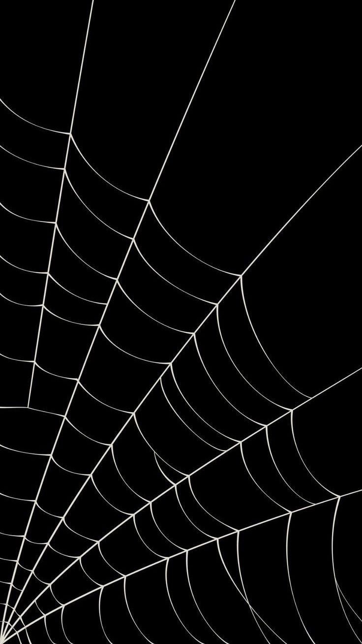 736x1308 Spider Web Screen. Spiderweb wallpaper iphone, Spider web iphone wallpaper, Spider web wallpaper ideas