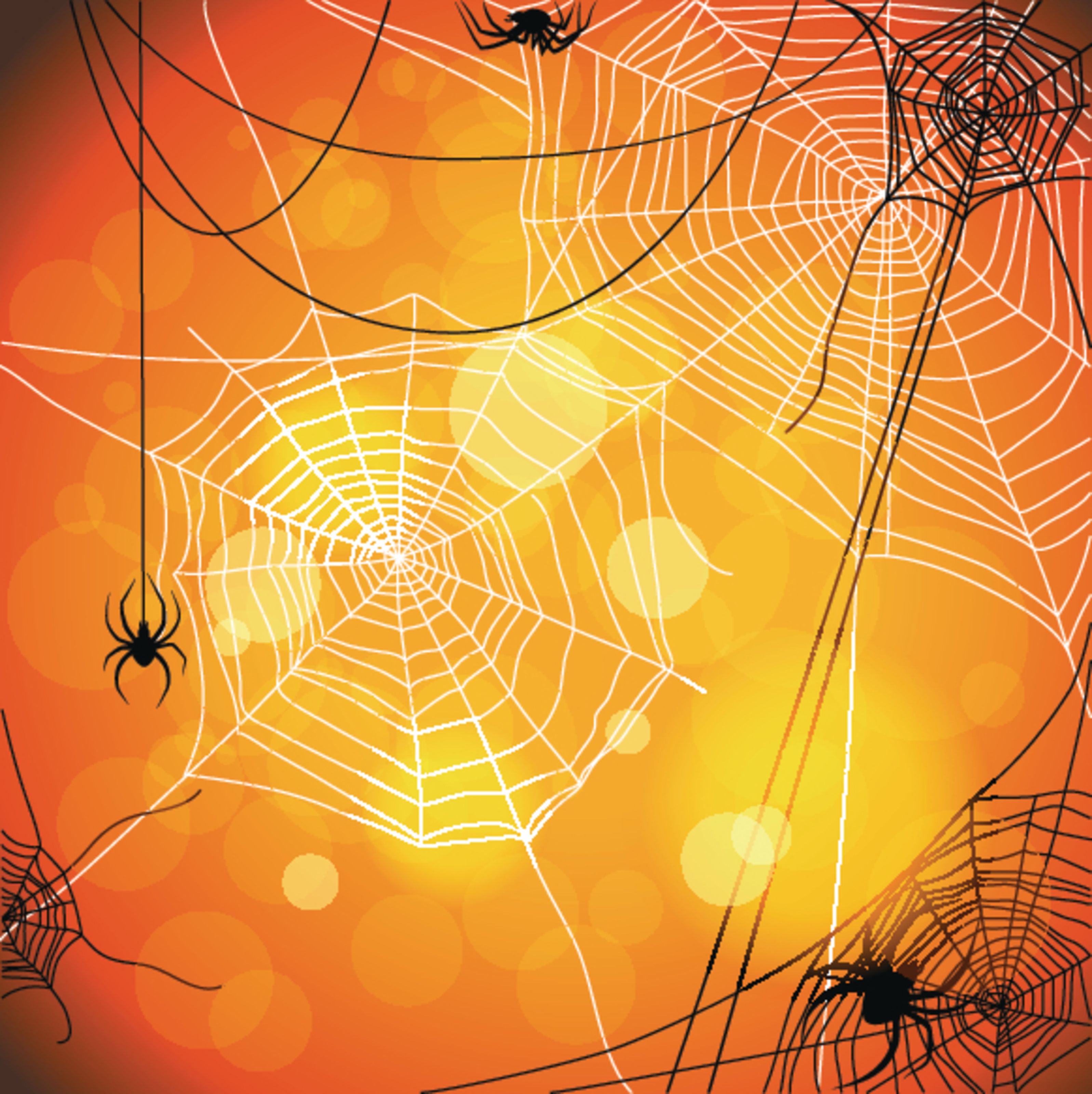 3195x3200 Spider Web Background Wall Mural