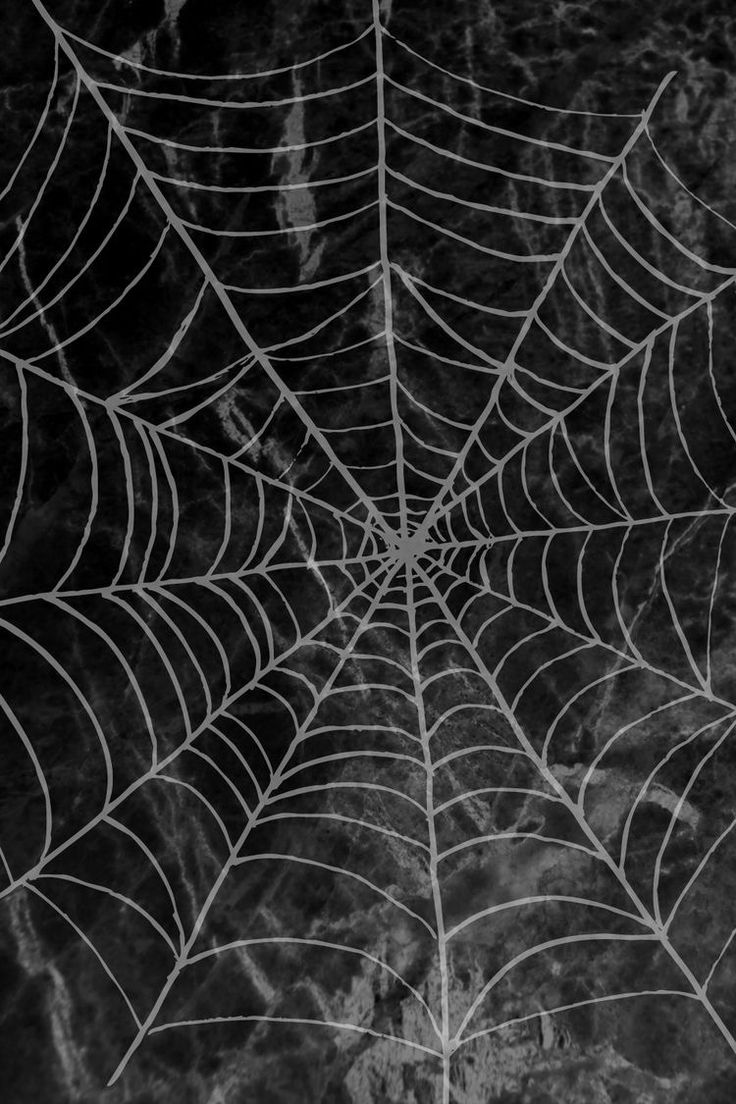 736x1104 Spider Web iPhone Wallpaper