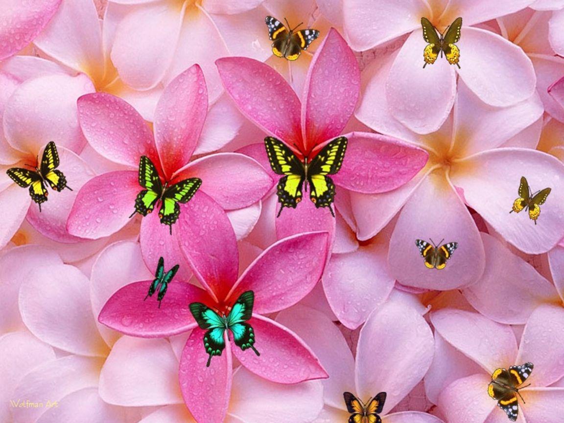 1152x864 Free download cute girly HD wallpaper cute floral wallpaper for girls [1152x864] for your Desktop, Mobile & Tablet. Explore Cute Christian Wallpaper. Beautiful Christian Wallpaper for Desktop, Cool Christian