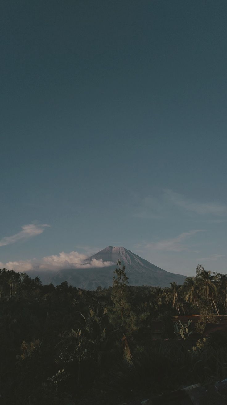 736x1308 Mahameru