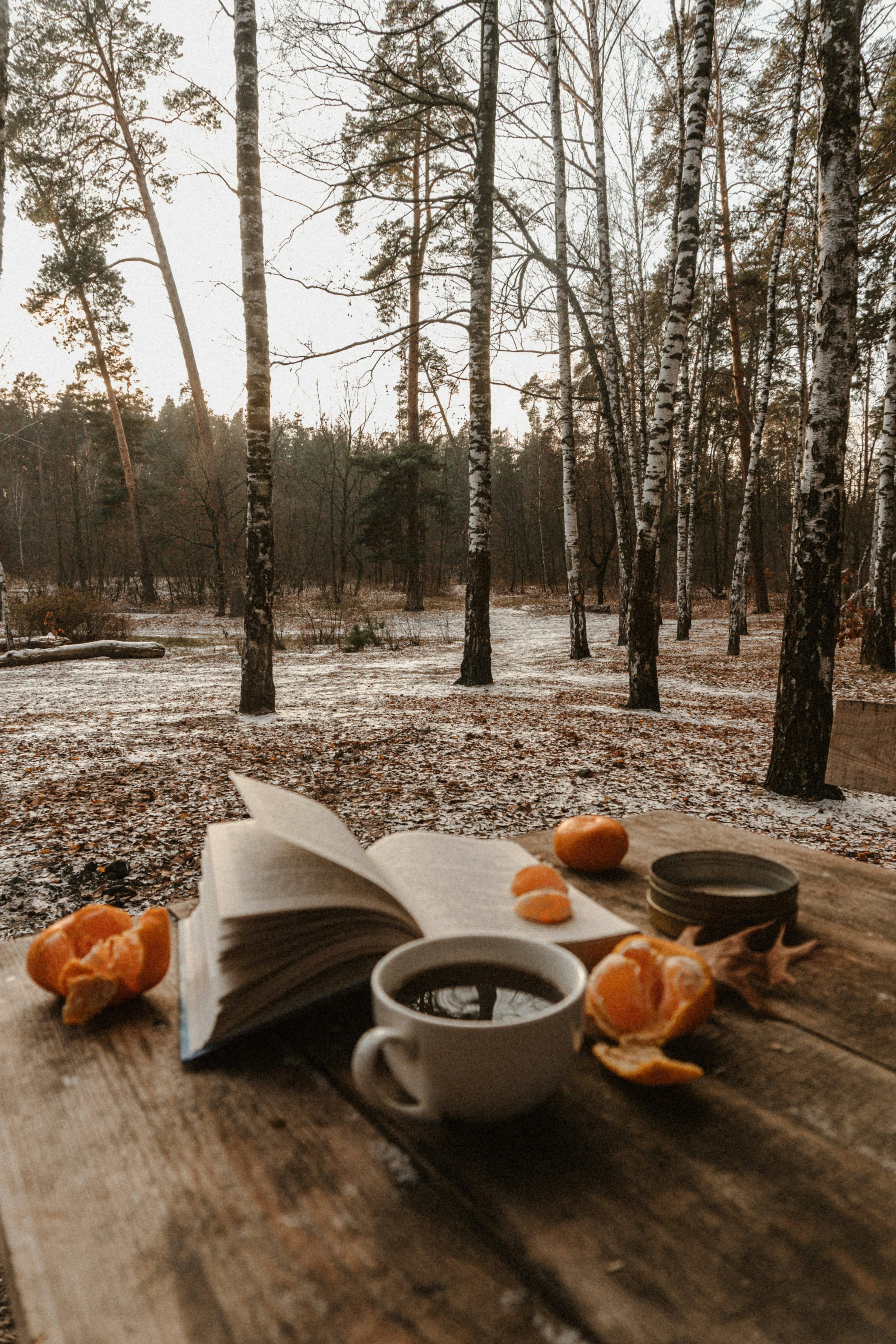 3000x4500 Cozy Winter Wallpaper Picture. Download Free Image