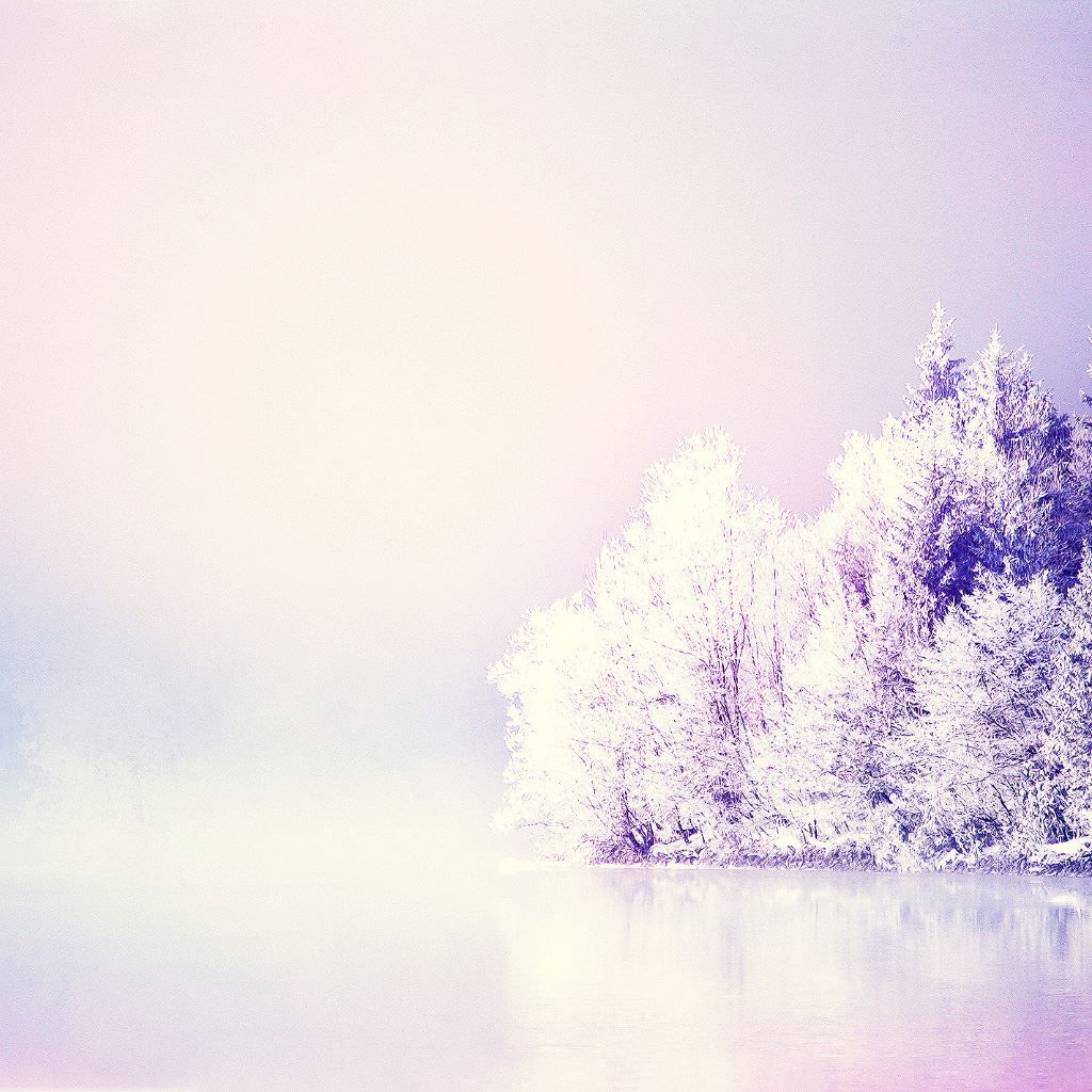 1024x1024 Dreamy Snowy Forest iPad Wallpaper Free Download