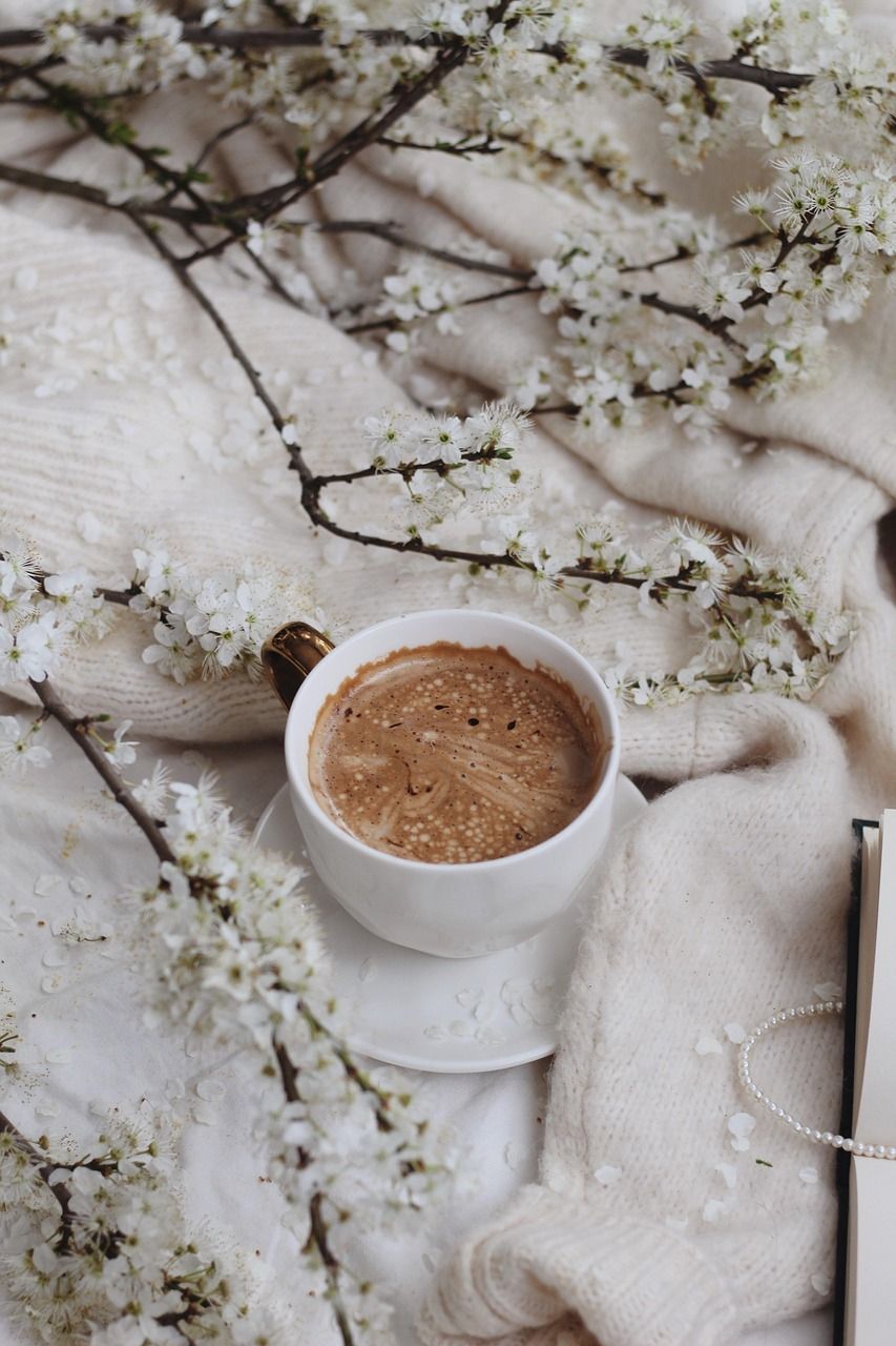 853x1280 Free Cozy Aesthetic & Cozy Image