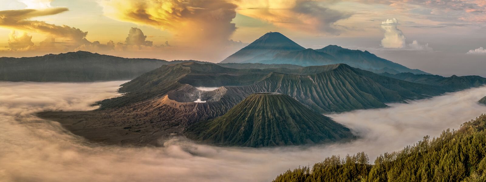 1600x600 The Best of Java