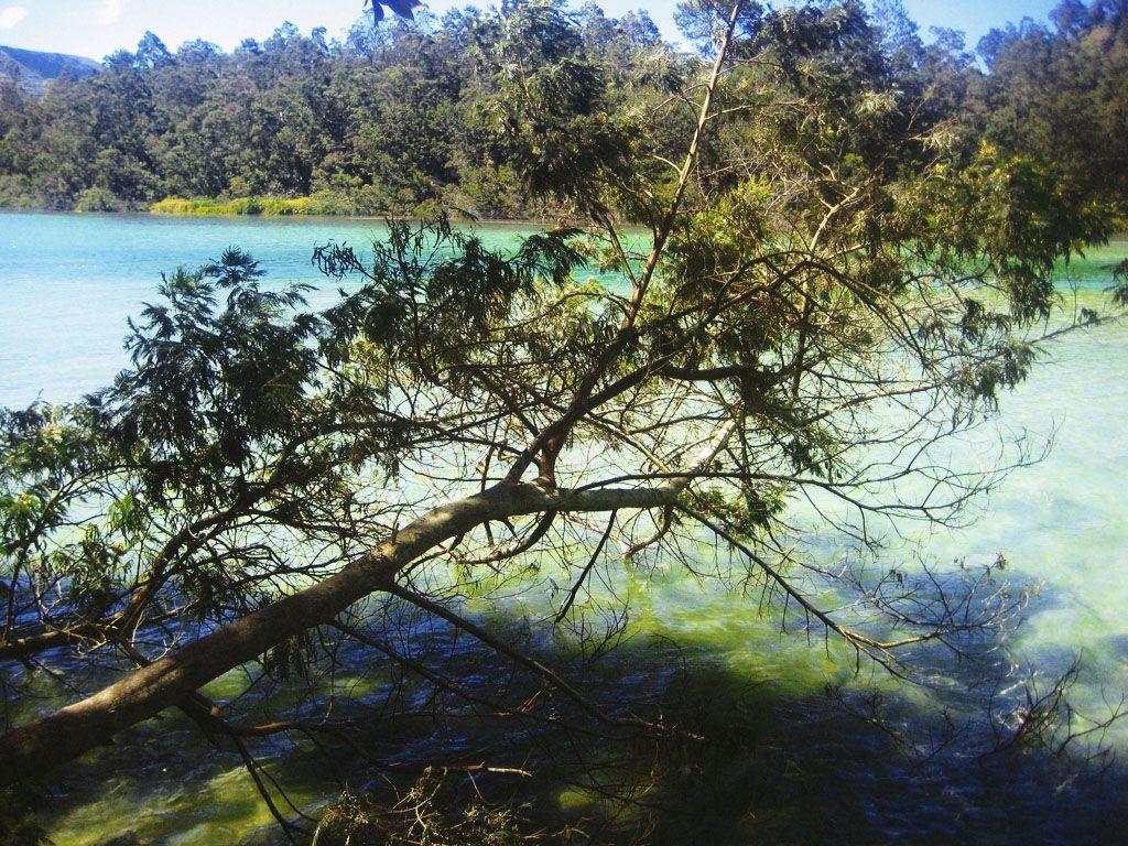 1024x768 Telaga Warna, Dieng Plateau, Wonosobo, Central Java, Indon
