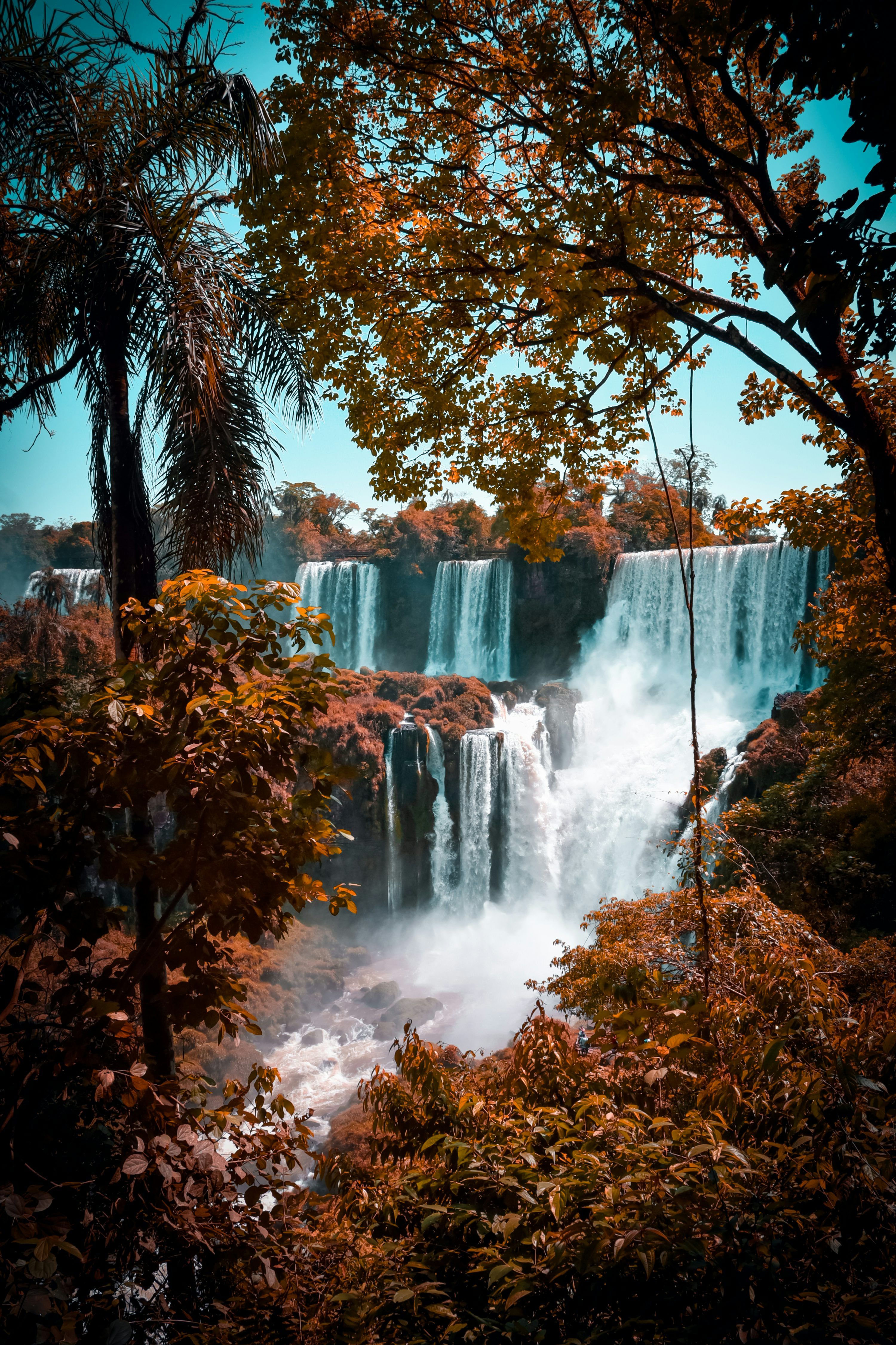 3000x4500 Iguazu Falls Picture. Download Free Image
