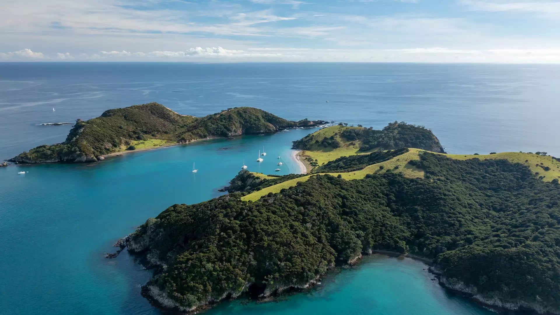 1920x1080 Day Essential North Island NZ Self Drive Tour