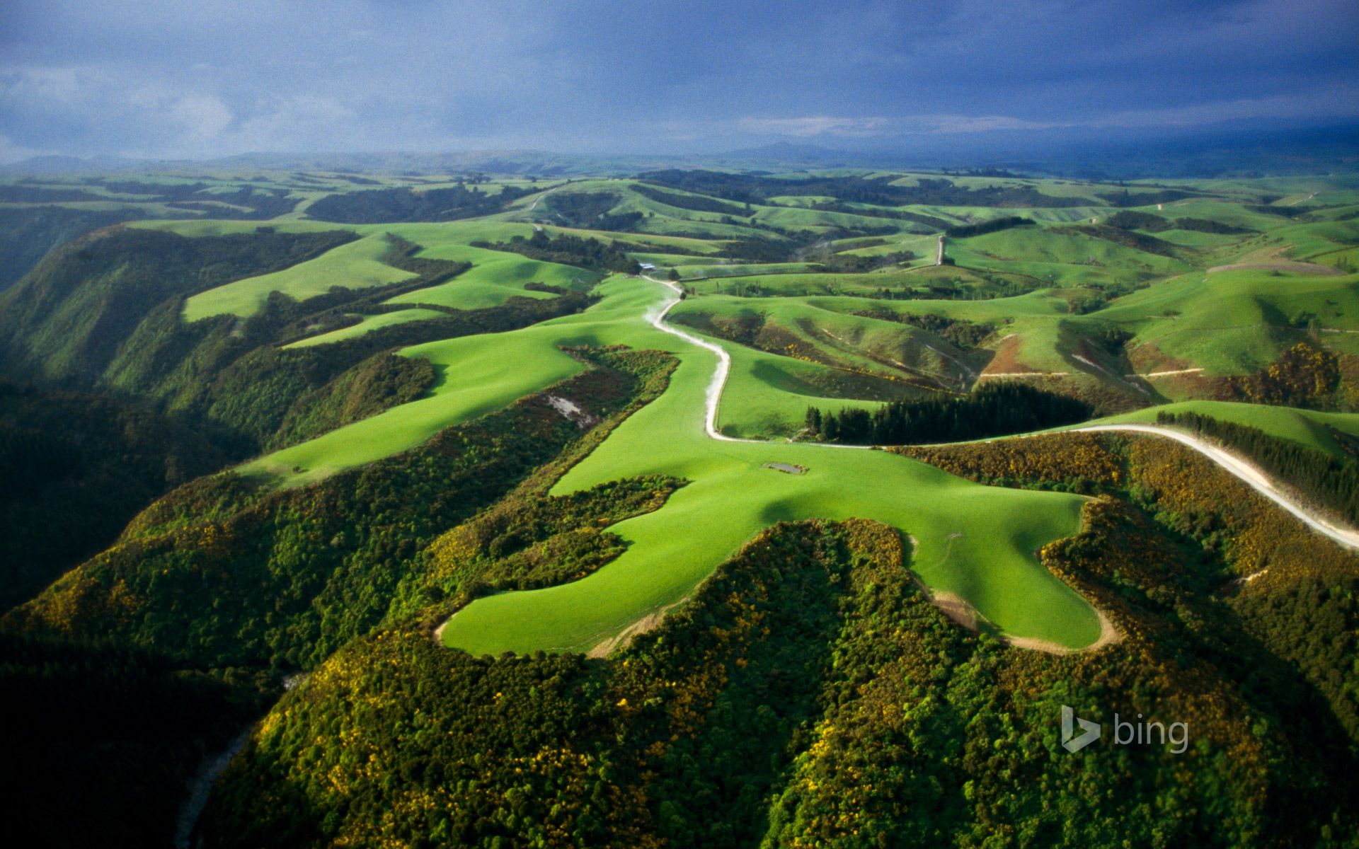 1920x1200 Aerial view of farmlands, North Island, New Zealand Wallpaper