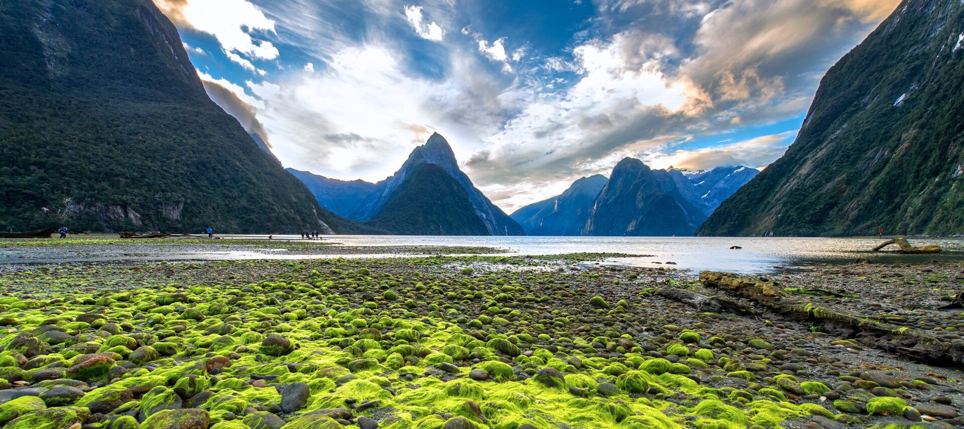1920x856 North Island Tours