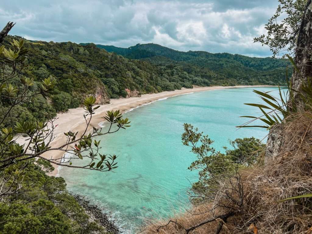 1024x768 Is the North Island of New Zealand Worth Visiting?