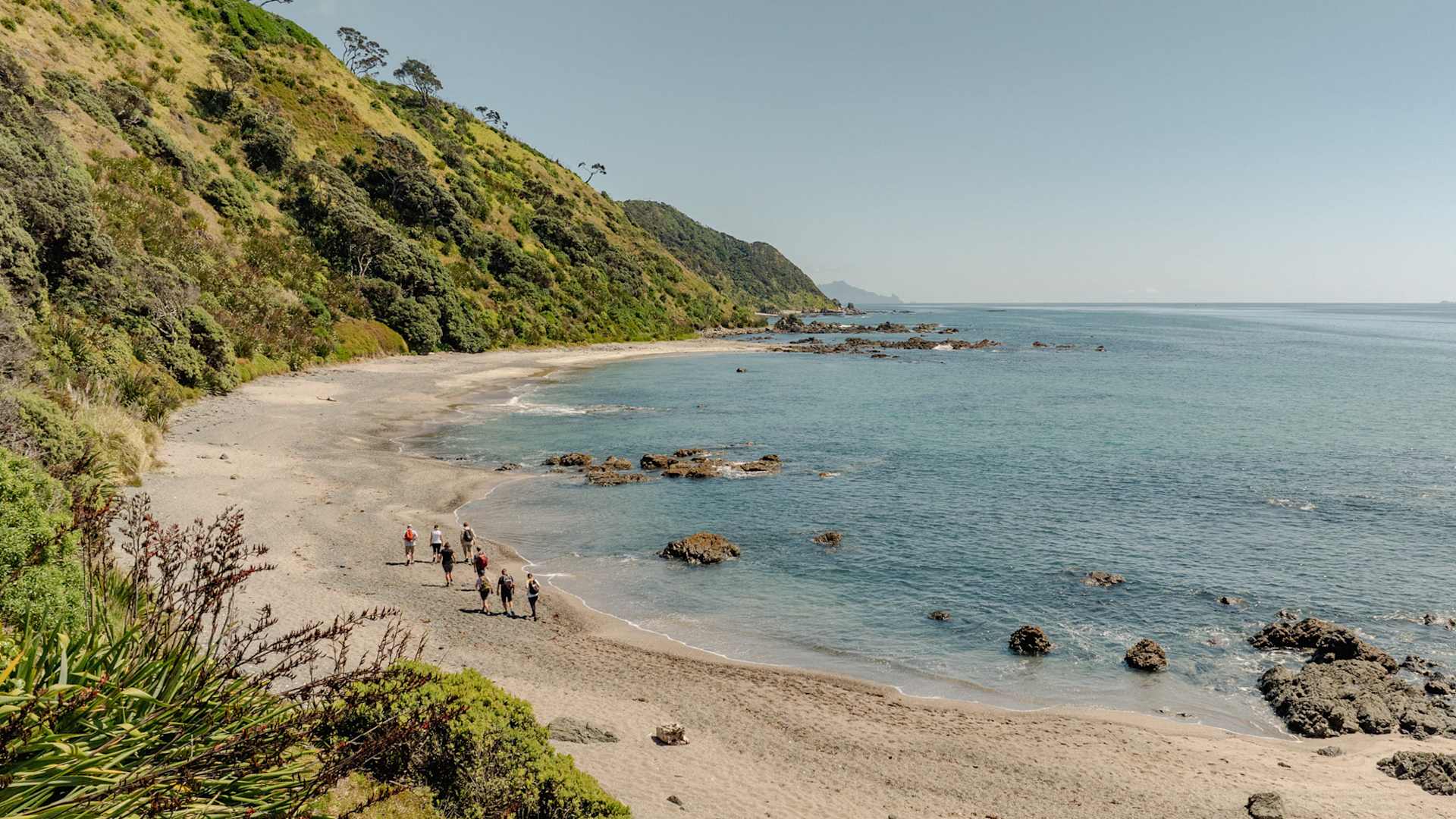 1920x1080 New Zealand North Island Hiking & Adventure Tours