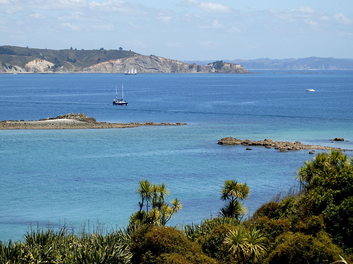 1152x864 North Island wallpaper