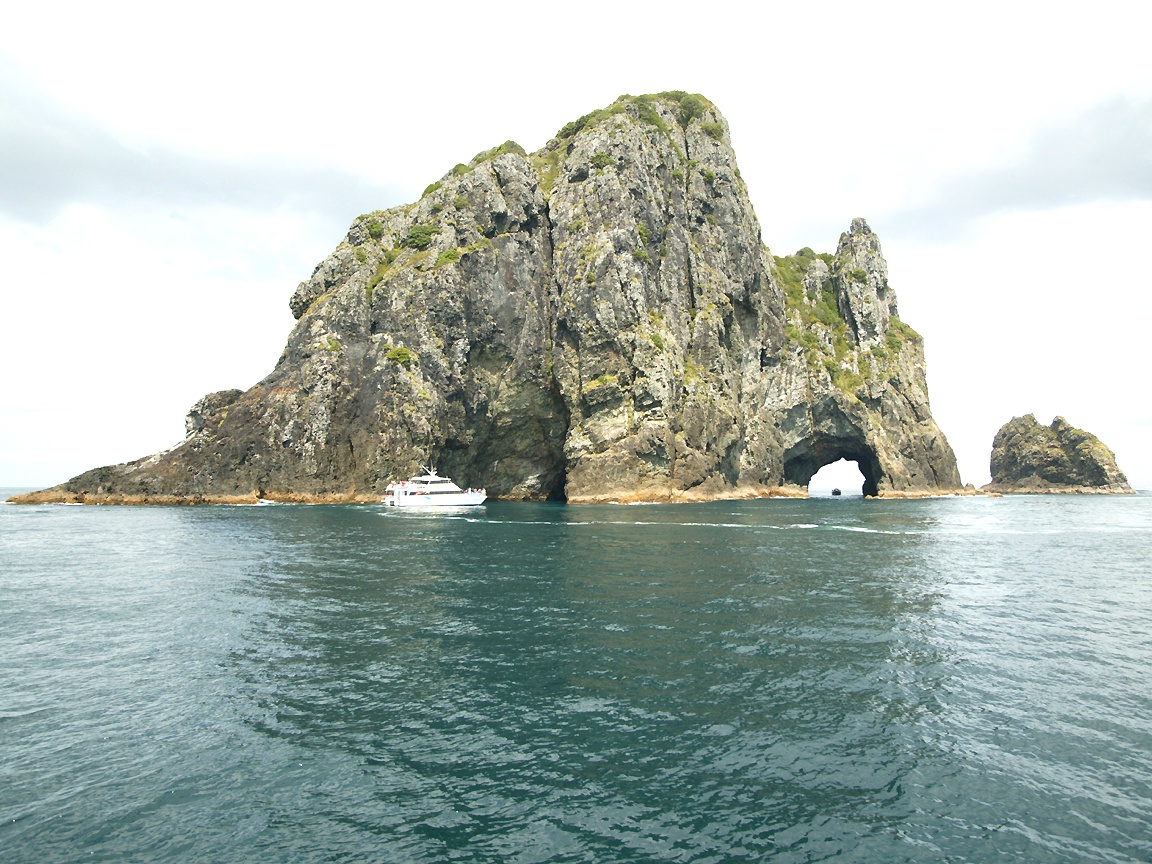 1152x864 North Island wallpaper