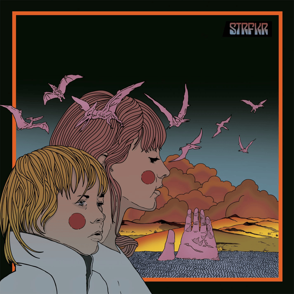 1000x1000 STRFKR