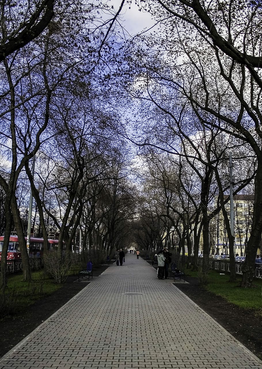 910x1278 HD wallpaper: Lenina street boulevard Yekaterinburg, Russia, corridor, photo