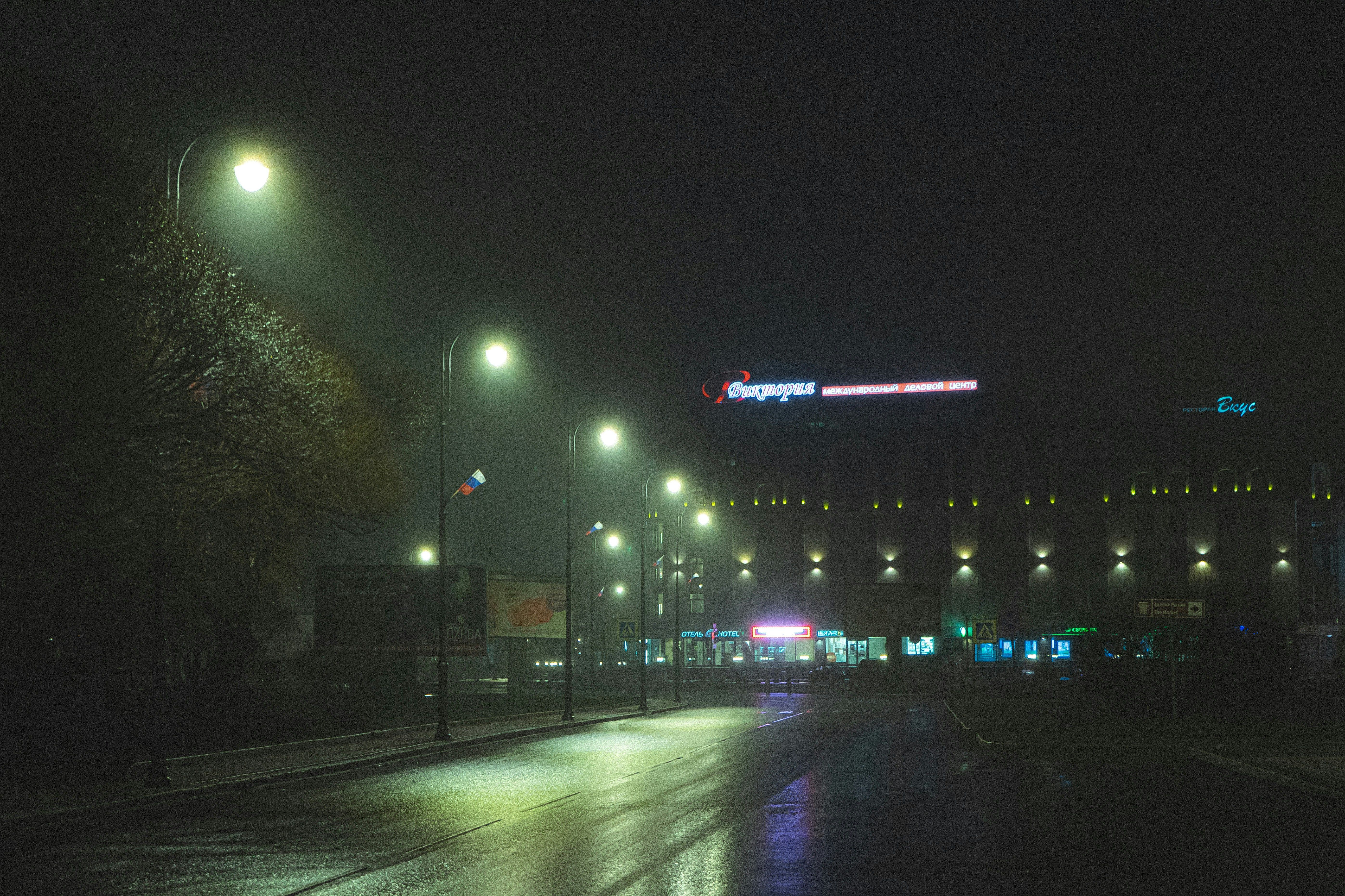 5590x3727 People walking on street during night time photo