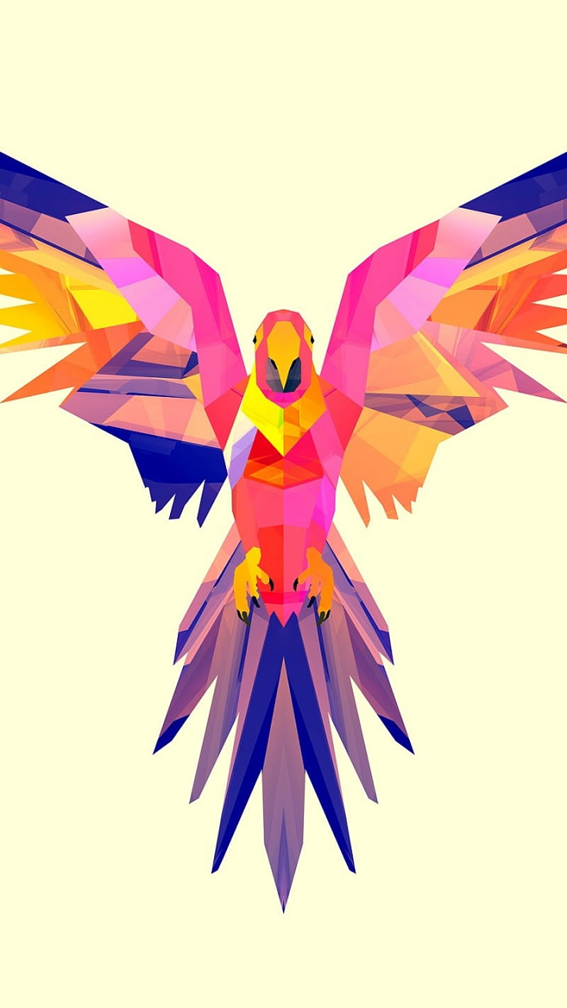 800x1422 Parrot, abstract, color, HD phone wallpaper