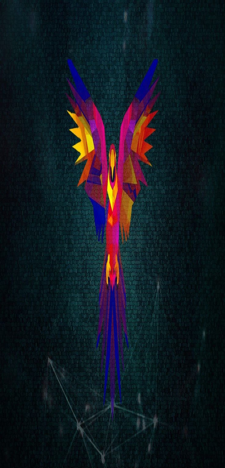 736x1526 Parrot os