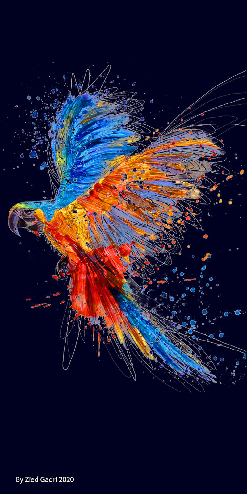 800x1600 Parrot, color, colors, desenho, designs, explosion, fish, paper, papers, wall, HD phone wallpaper
