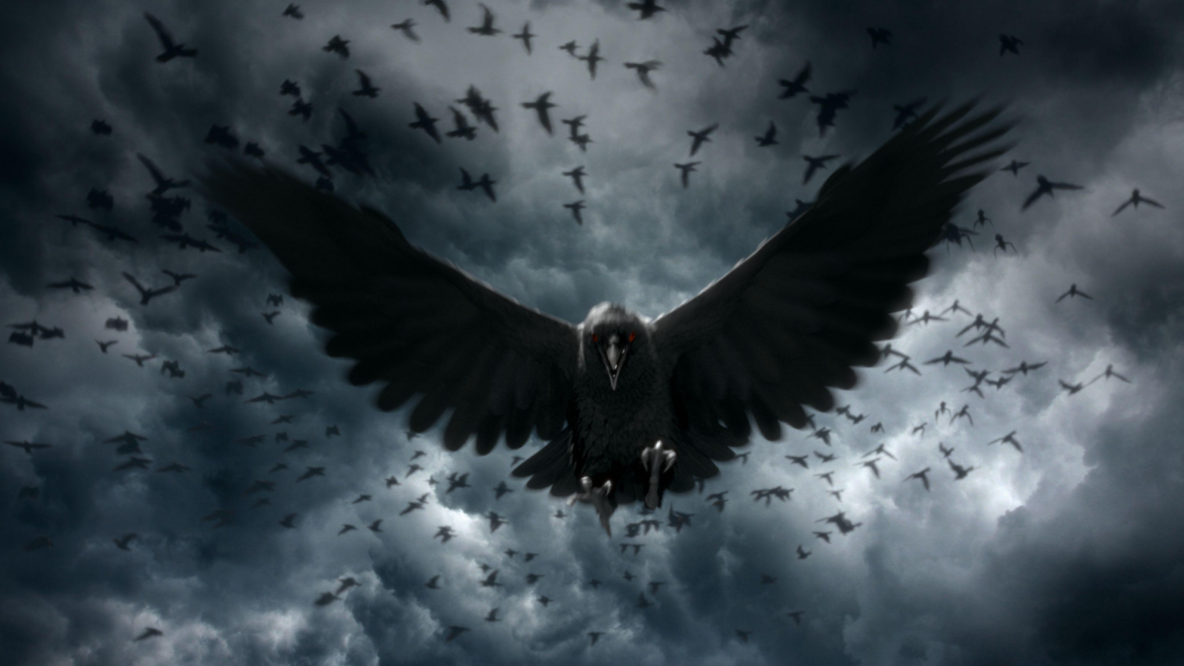 3840x2160 The Black Crowes Wallpaper. Black Crowes Wallpaper, Black Crowes Jimmy Page Wallpaper and The Black Crowes Wallpaper